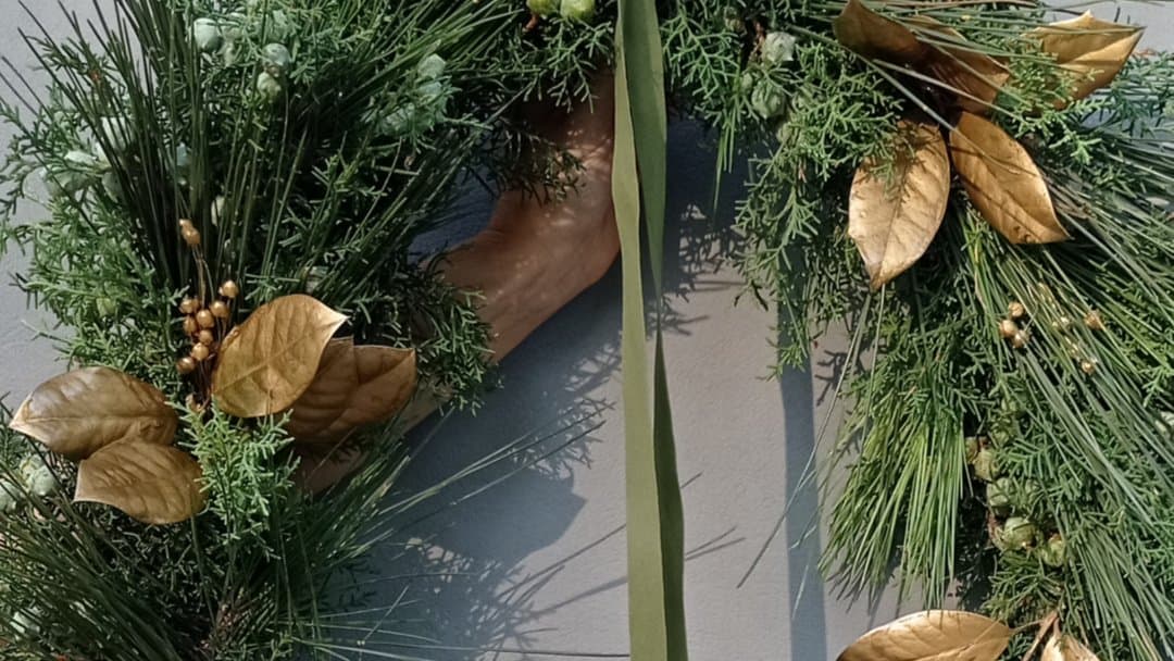 🌿 Taller Corona de Navidad 🎄 / Christmas wreath Workshop 🌿